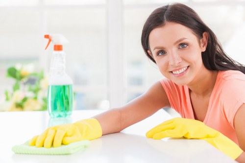 Professional oven cleaning service for a W5 home kitchen