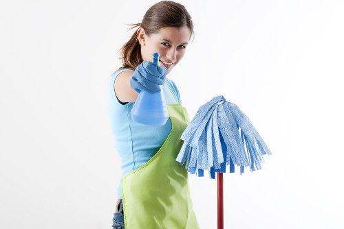 Facade cleaning for W5 homes and commercial buildings