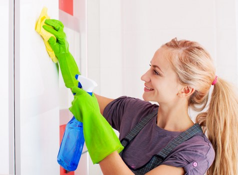 Illustration of accessible web content for Carpet Cleaners W5