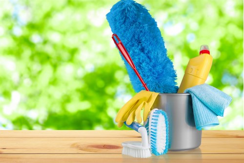 Professional upholstery cleaning for a sofa in a W5 home