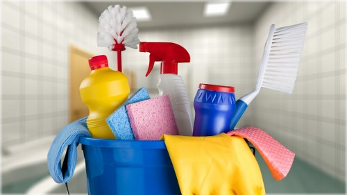 Professional carpet cleaning in a W5 home interior
