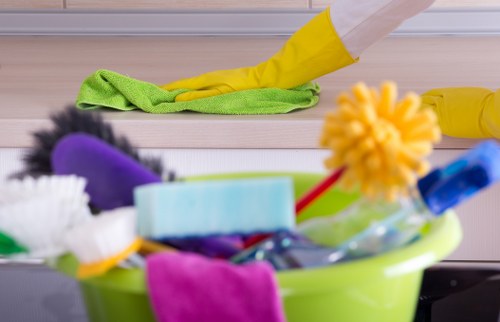 Pet stain removal service for upholstery and rugs in W5 properties