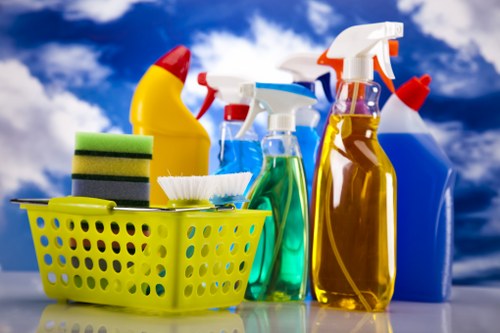 Professional stain removal for carpets and upholstery in W5 homes