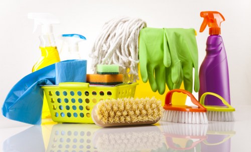 Professional move in cleaning for a flat in W5