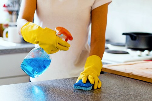 Professional window cleaning service for homes in W5
