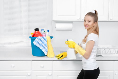 Ongoing cleaning service for offices and commercial premises in W5