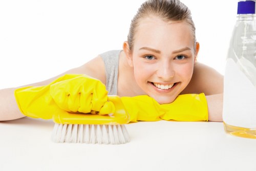 Clean freshly treated carpet after professional carpet cleaning service