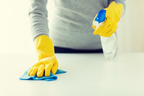 Carpet cleaning team handling service conditions and safety checks