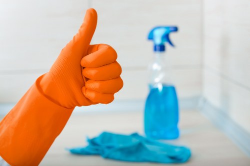 Domestic cleaning team serving homes and small properties in W5