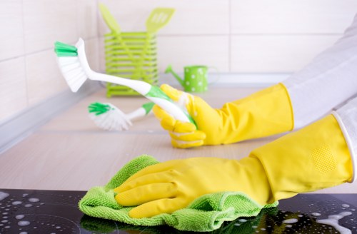 Stain treatment and carpet care for a flat in W5