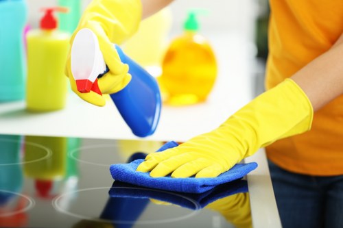 Deep sofa cleaning process for a living room sofa in W5