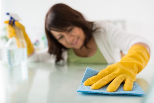 Professional cleaning of shared workplace areas and washrooms