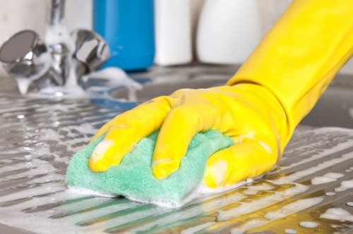 Regular window cleaning service across W5 neighbourhoods