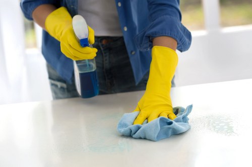 Careful stain removal process for residential and commercial properties in W5