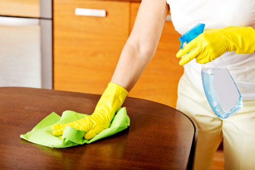Local cleaners working in a W5 flat or apartment