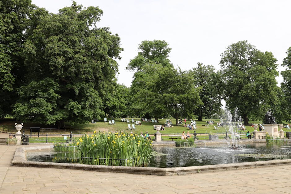 Walpole Park event stain removal and cleaning in Ealing W5